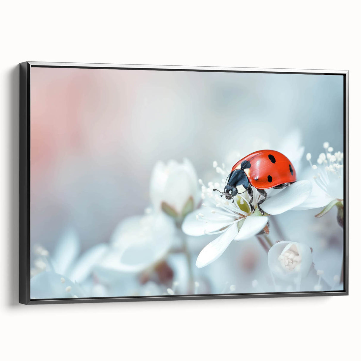 Framed canvas wall art featuring a detailed ladybug design, showcasing vibrant colors against a black background, perfect for home decor and nature enthusiasts.