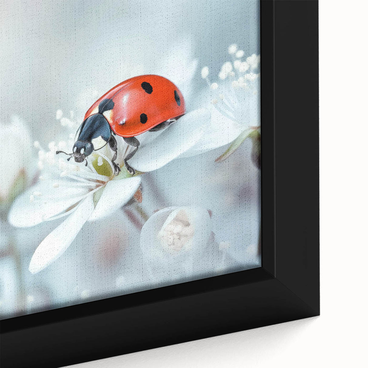 Close-up of a framed canvas wall art featuring a vibrant ladybug design, showcasing intricate details and vivid colors, perfect for nature-themed decor.