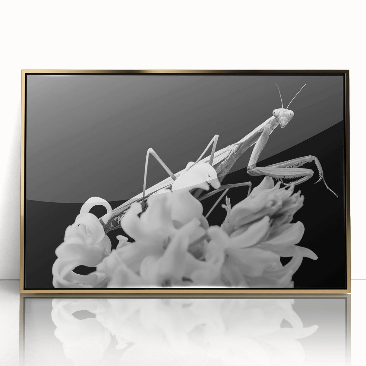 Framed wall art featuring a detailed insect and arachnid mantis design, showcasing vibrant colors and a sleek acrylic gold frame, perfect for nature lovers' decor.