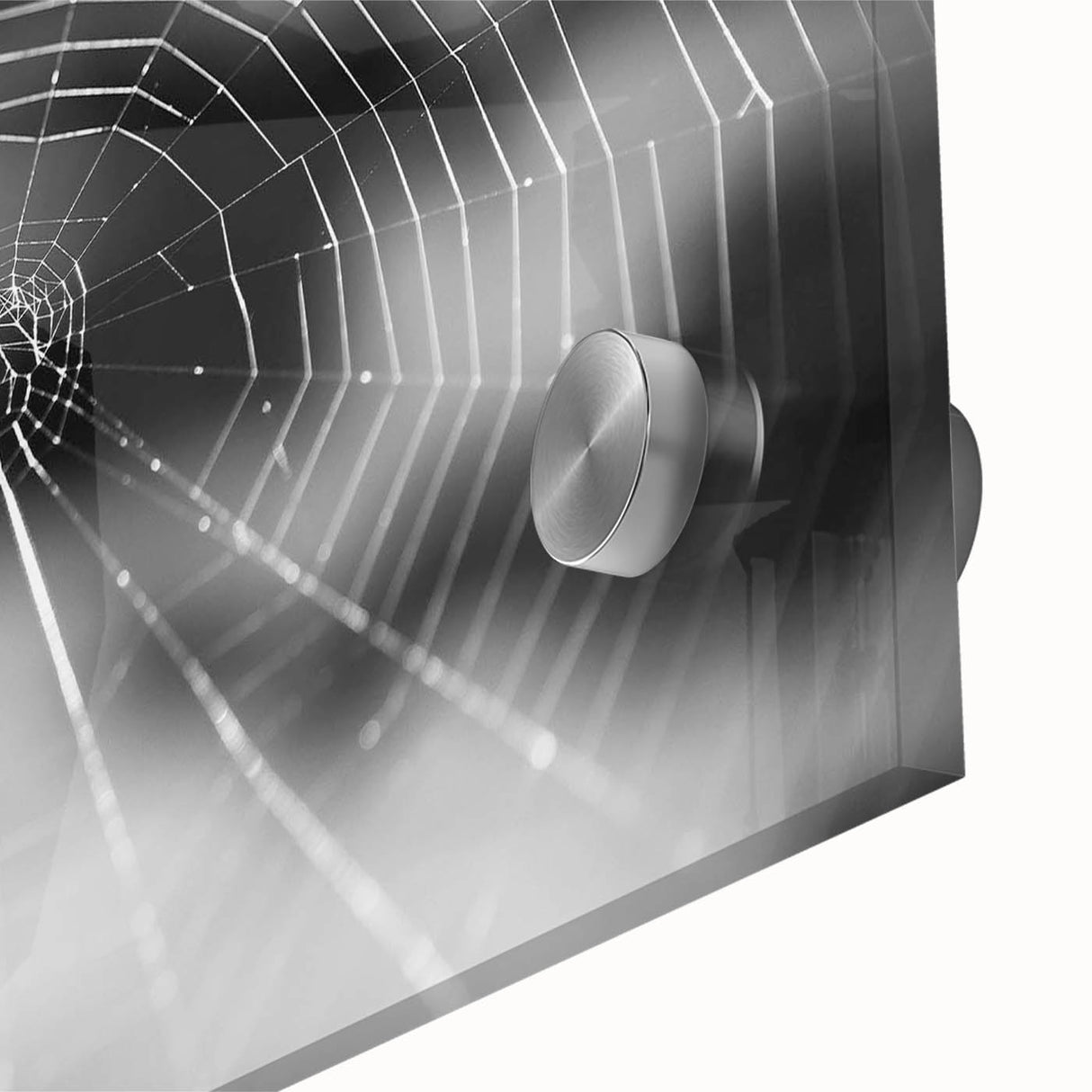 Close-up of a stunning acrylic glass wall art piece featuring intricate designs of insects and arachnids, showcasing vibrant colors and fine details, perfect for nature enthusiasts.