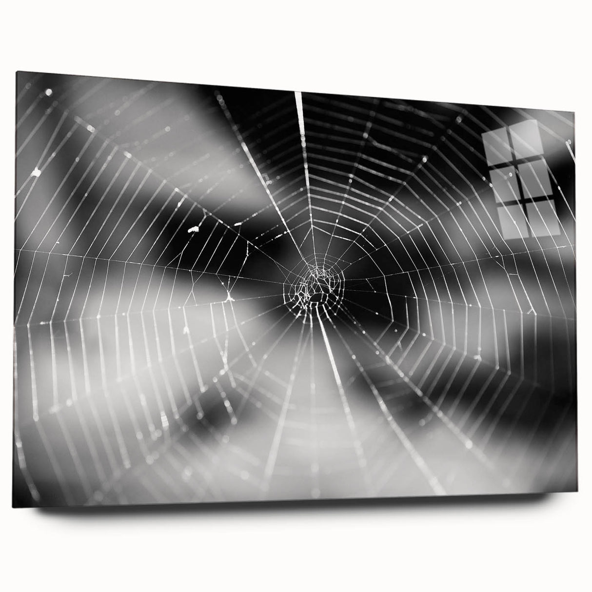 Close-up view of a side-mounted acrylic wall art display featuring a colorful insect and arachnid spider design, perfect for modern décor and nature enthusiasts.