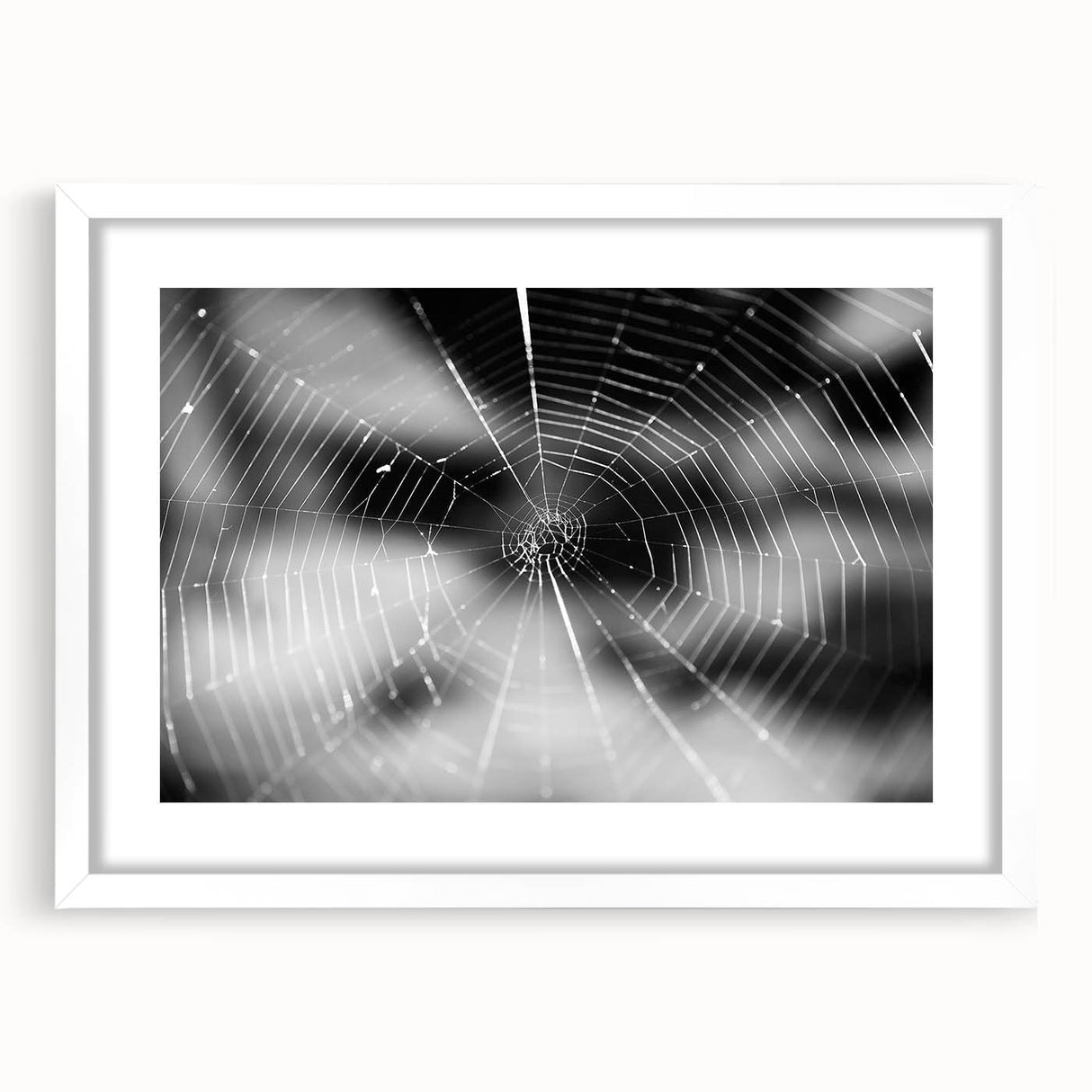 Framed wall art showcasing a detailed insect and arachnid spider design, featuring a white mat and sleek frame, perfect for nature enthusiasts' decor.