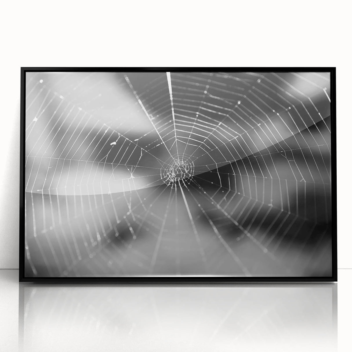 Framed wall art showcasing a detailed insect and arachnid spider design in a black frame, perfect for nature lovers and modern decor enthusiasts.