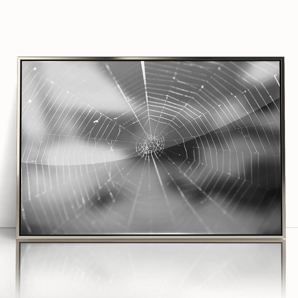 Framed wall art featuring a detailed insect and arachnid spider design, displayed in a sleek silver frame with an acrylic front, ideal for nature enthusiasts.