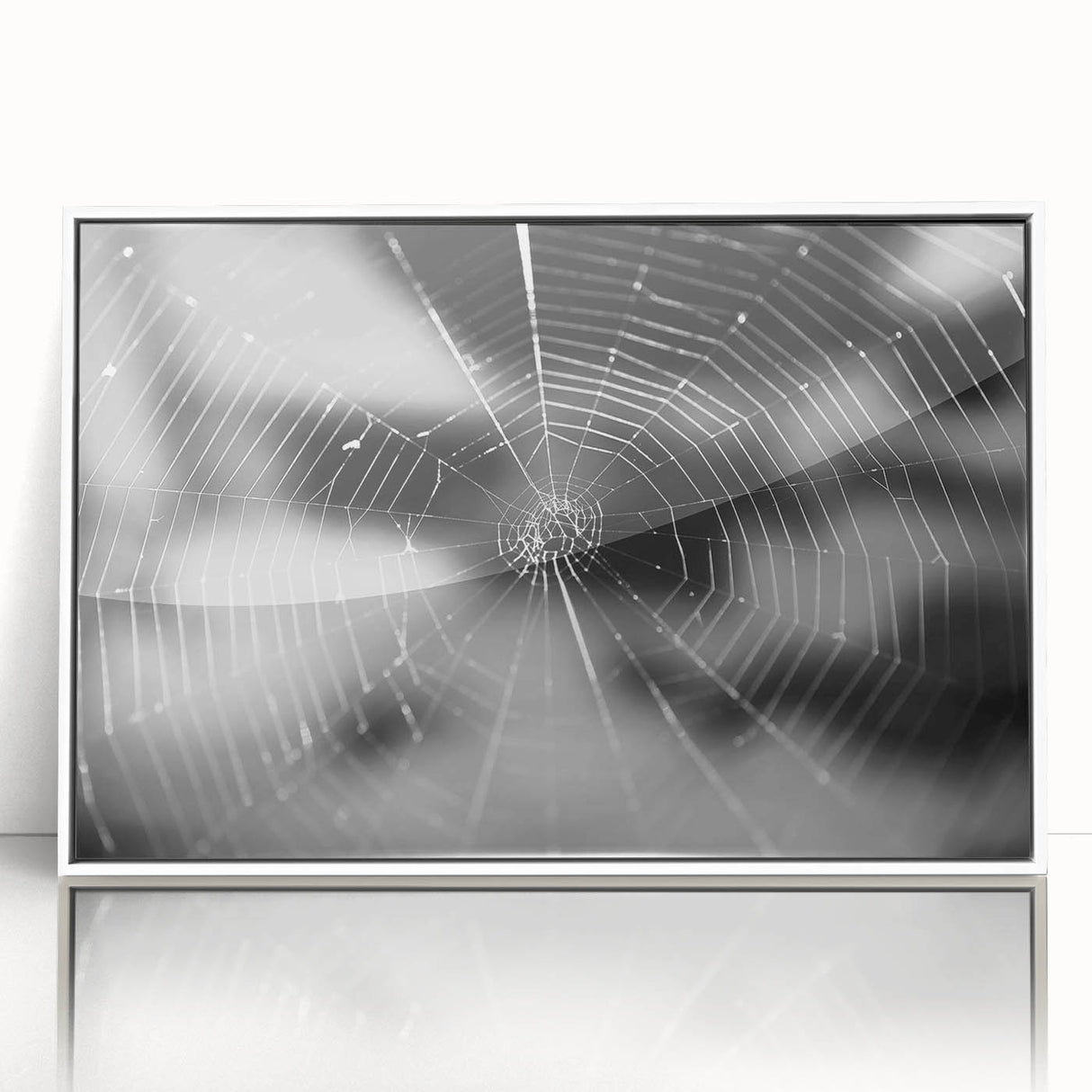 Framed wall art featuring a detailed insect and arachnid spider design, displayed in a white frame with a sleek acrylic front, ideal for home decor enthusiasts.