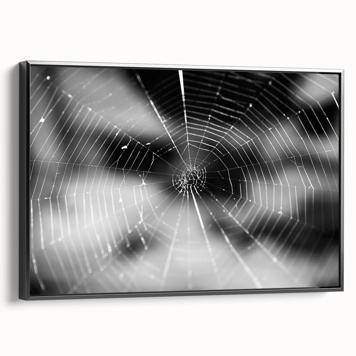 Framed wall art featuring a detailed insect and arachnid spider design, elegantly displayed in black, adding a modern touch to any interior decor. Perfect for nature enthusiasts and art collectors.