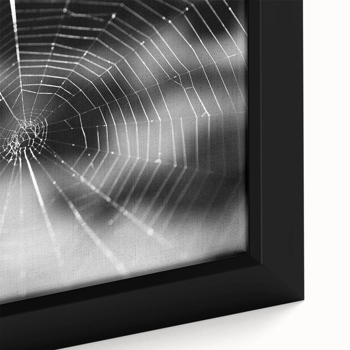 Close-up of a framed wall art canvas featuring a detailed design of various insects and arachnids, showcasing vibrant colors and intricate patterns, ideal for nature enthusiasts.