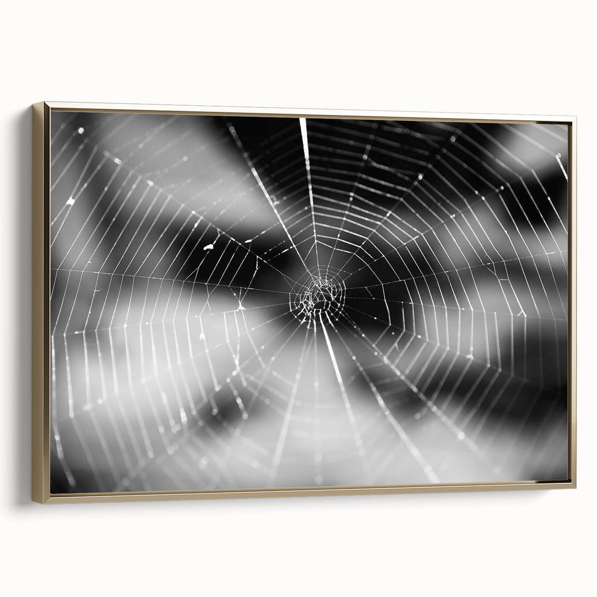 Framed wall art featuring a detailed insect and arachnid spider design on canvas, set against a gold background, perfect for nature enthusiasts and modern decor.