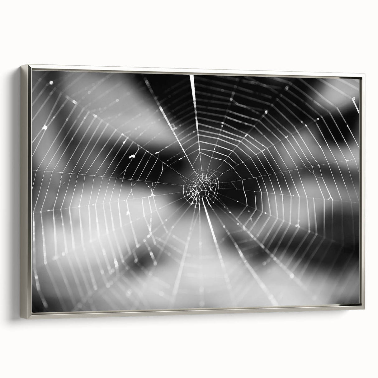 Framed wall art featuring a contemporary insect and arachnid spider design on canvas, showcased from a side view with a sleek silver frame, perfect for modern decor enthusiasts.