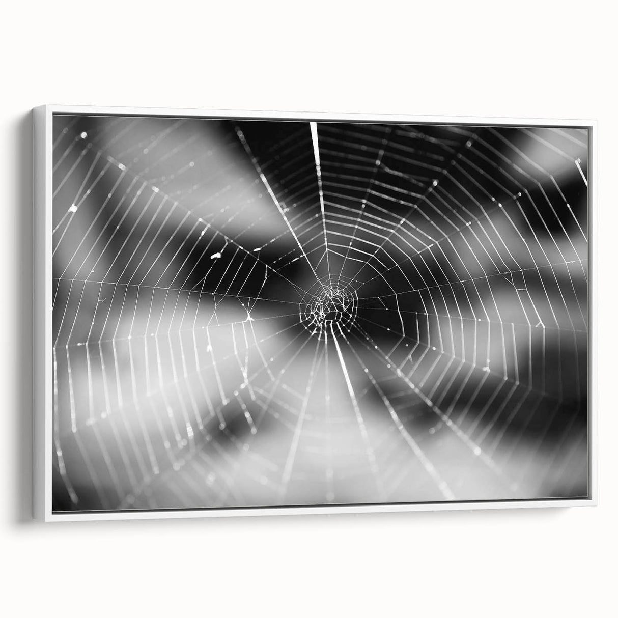 Framed canvas wall art showcasing a detailed insect and arachnid spider design, featuring intricate illustrations on a white background, ideal for nature enthusiasts and home decor.