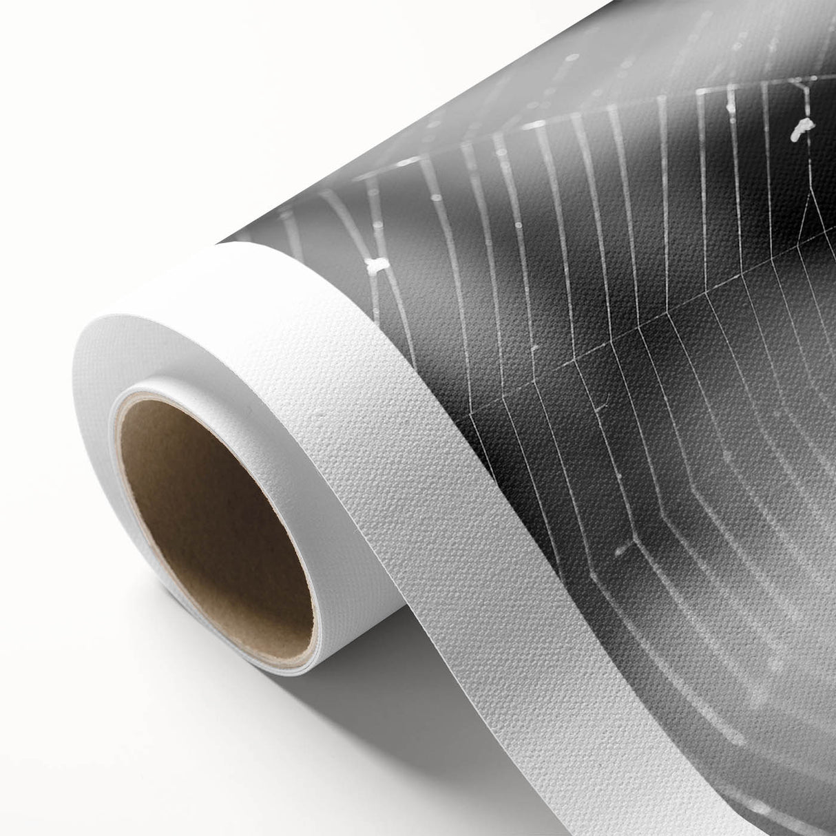 Colorful rolled canvas showcasing a detailed insect and arachnid wall art design, featuring various spider illustrations, perfect for nature enthusiasts' home decor.