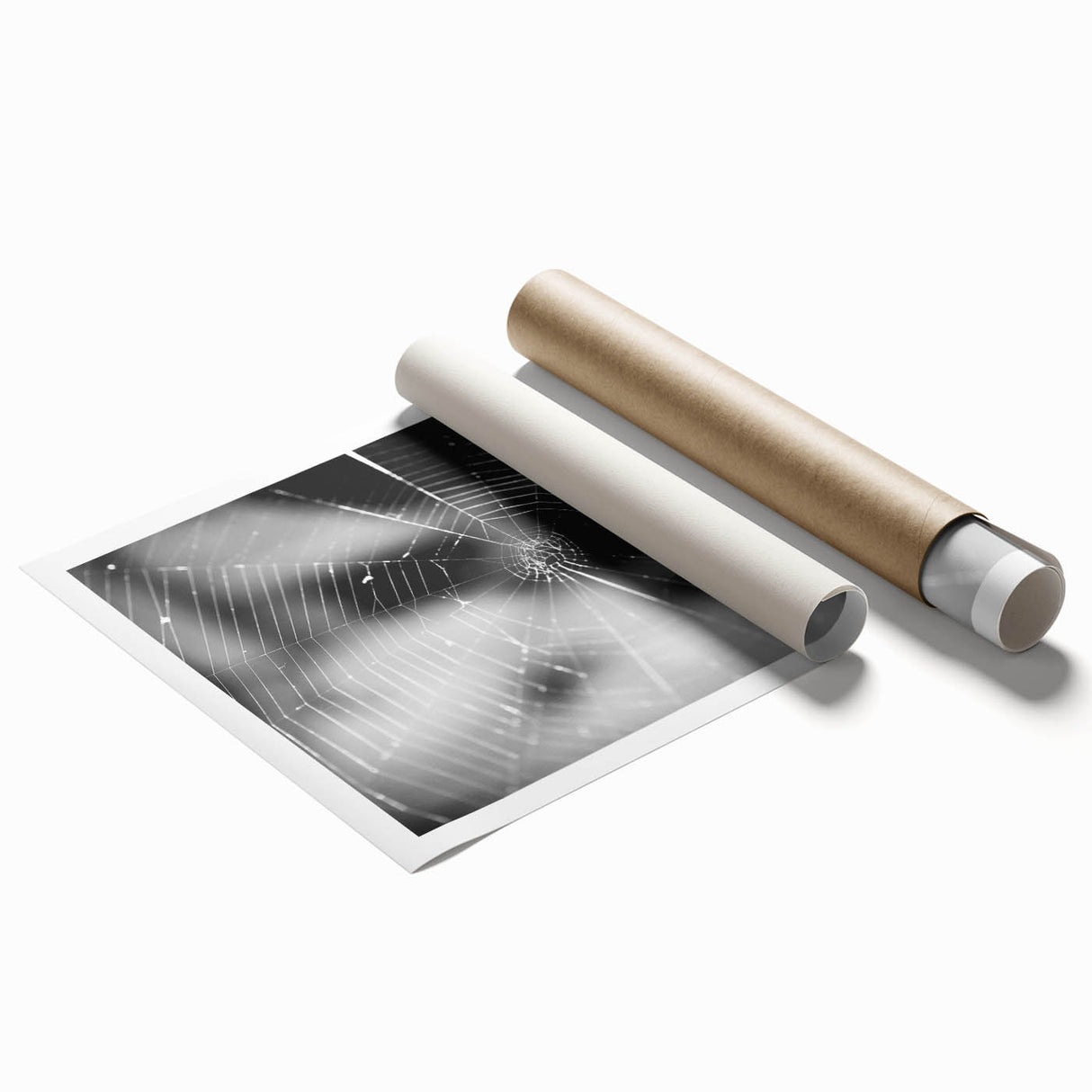 Detailed wall art print showcasing a vibrant insect and arachnid spider design, featuring intricate illustrations on a rolled canvas, perfect for nature enthusiasts.