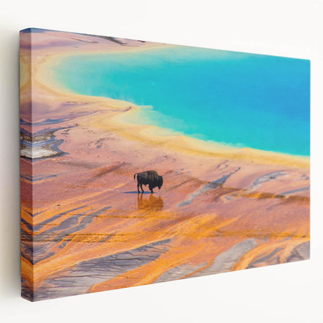 Stretched canvas wall art showcasing a vibrant geyser landscape design, featuring rich colors and intricate details, perfect for enhancing home decor.