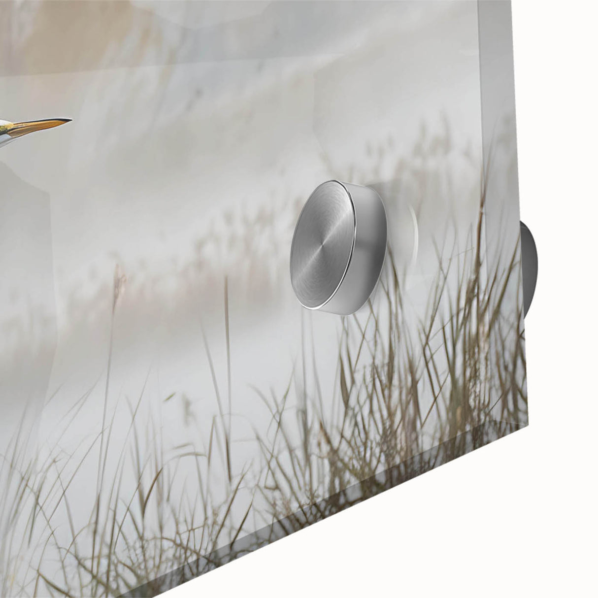 Close-up of a vibrant acrylic glass wall art piece depicting a serene marsh landscape, featuring lush greenery and tranquil water reflections, perfect for enhancing home decor.