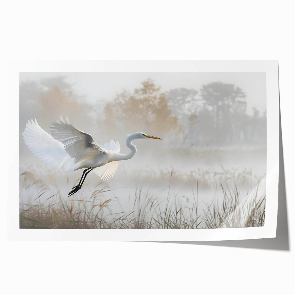 Vibrant wall art print showcasing a serene marsh landscape with lush greenery and water reflections, ideal for home décor and nature enthusiasts. Rolled for easy shipping.