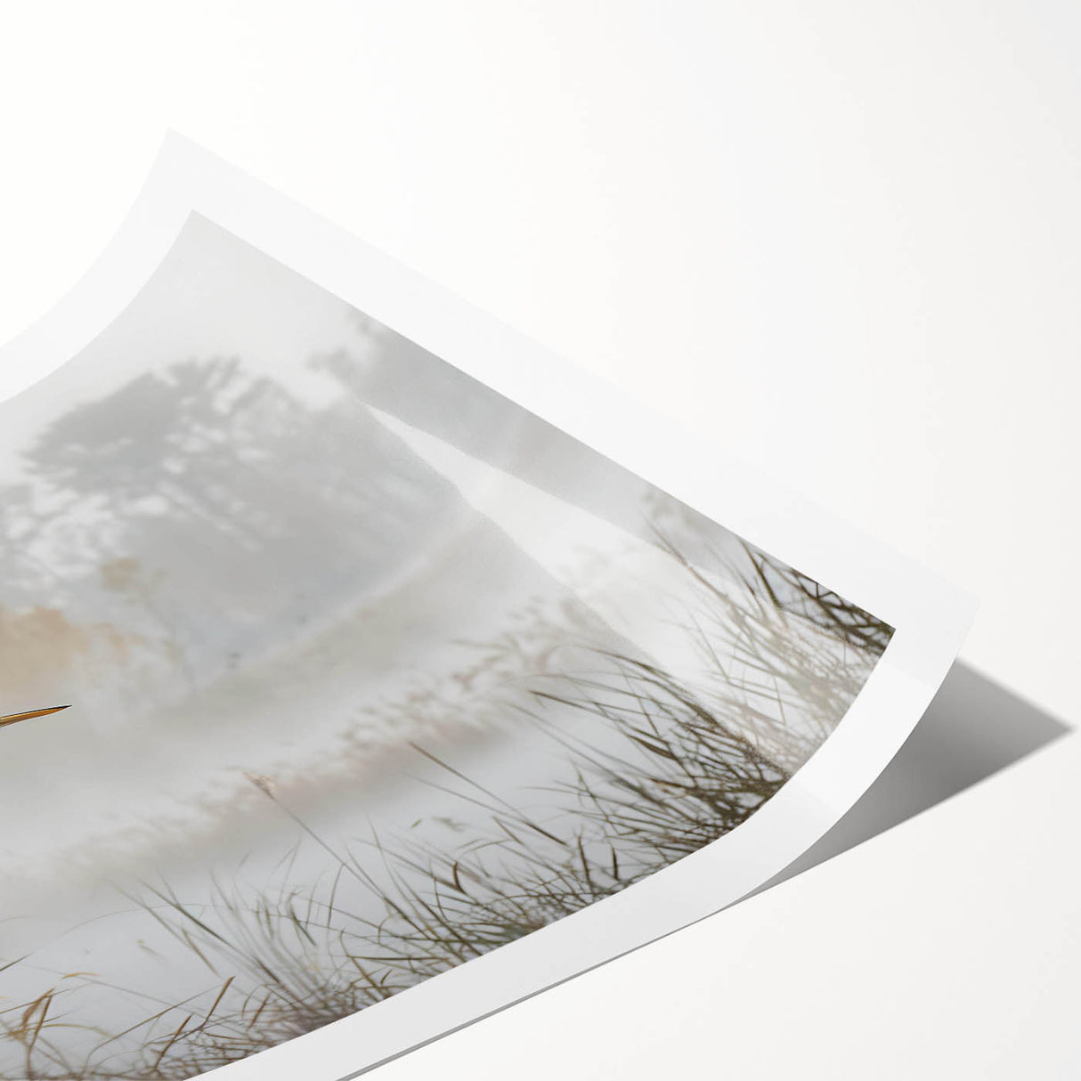 Vibrant rolled print showcasing a serene marsh landscape with lush greenery and tranquil water reflections, perfect for nature-inspired decor.