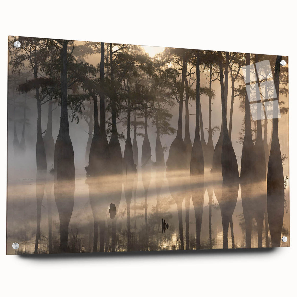 Acrylic glass wall art featuring a serene marsh and swamp landscape, showcasing vibrant greens and blues with intricate detailing and a side view presentation, ideal for nature enthusiasts.