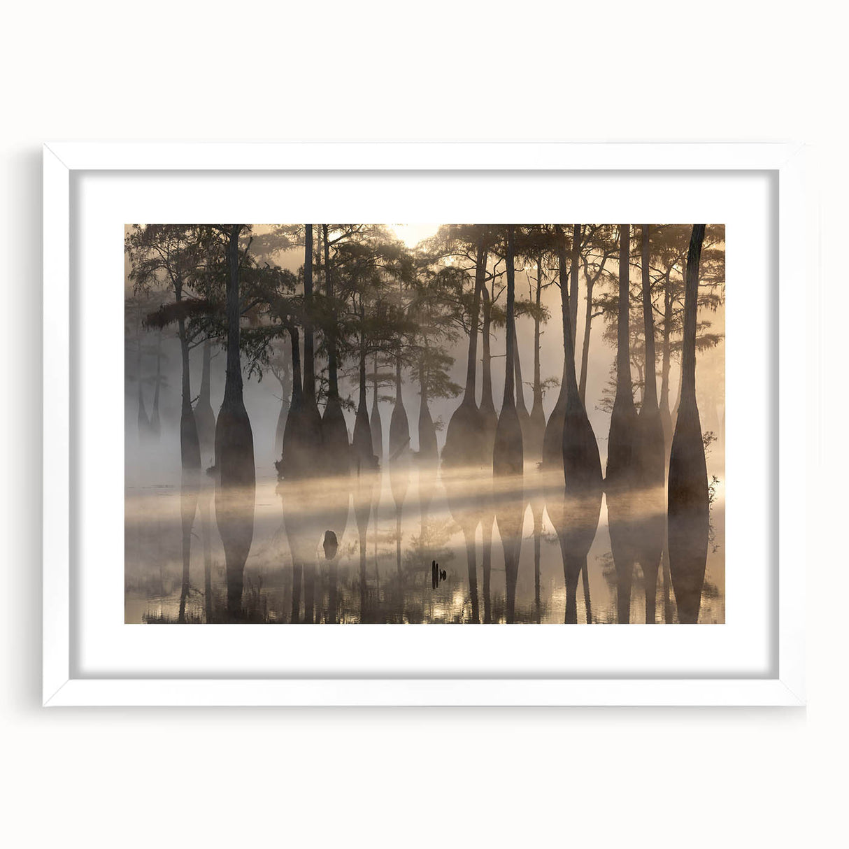 Framed wall art showcasing a serene marsh landscape with lush greenery and reflective water, presented in a sleek white mat for an elegant look.