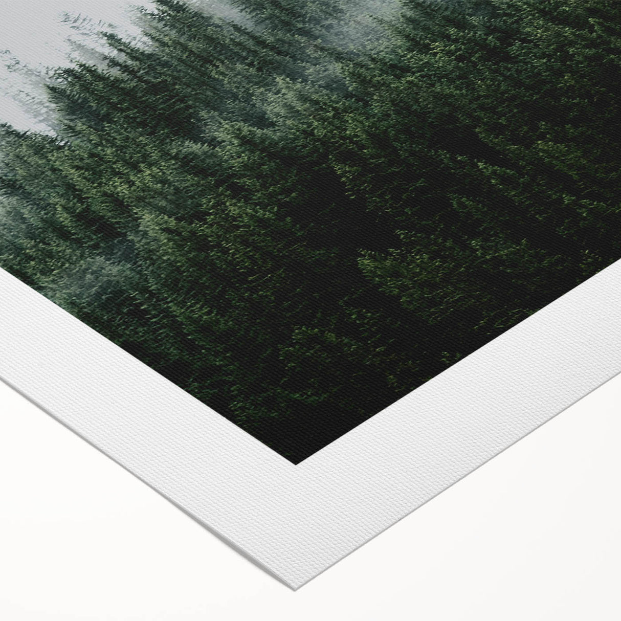 Rolled canvas artwork showcasing a serene landscape design with mist and fog, emphasizing soft colors and calming tones, ideal for modern home decor.