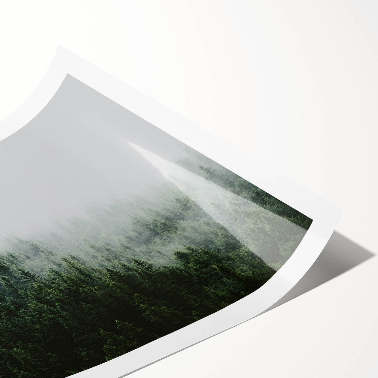 Rolled print of a serene landscape featuring misty fog over lush green hills, ideal for home decor, emphasizing tranquility and nature's beauty.