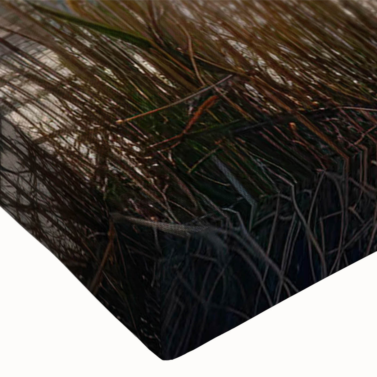 Close-up of a stretched canvas wall art piece showcasing a serene landscape design featuring misty fog over a tranquil forest, ideal for home decor and ambiance enhancement.