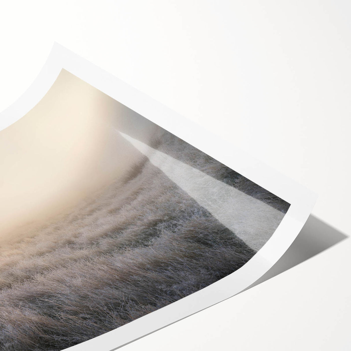 Serene landscape wall art print featuring a misty forest scene with soft colors, rolled and ready for display, perfect for enhancing home decor.