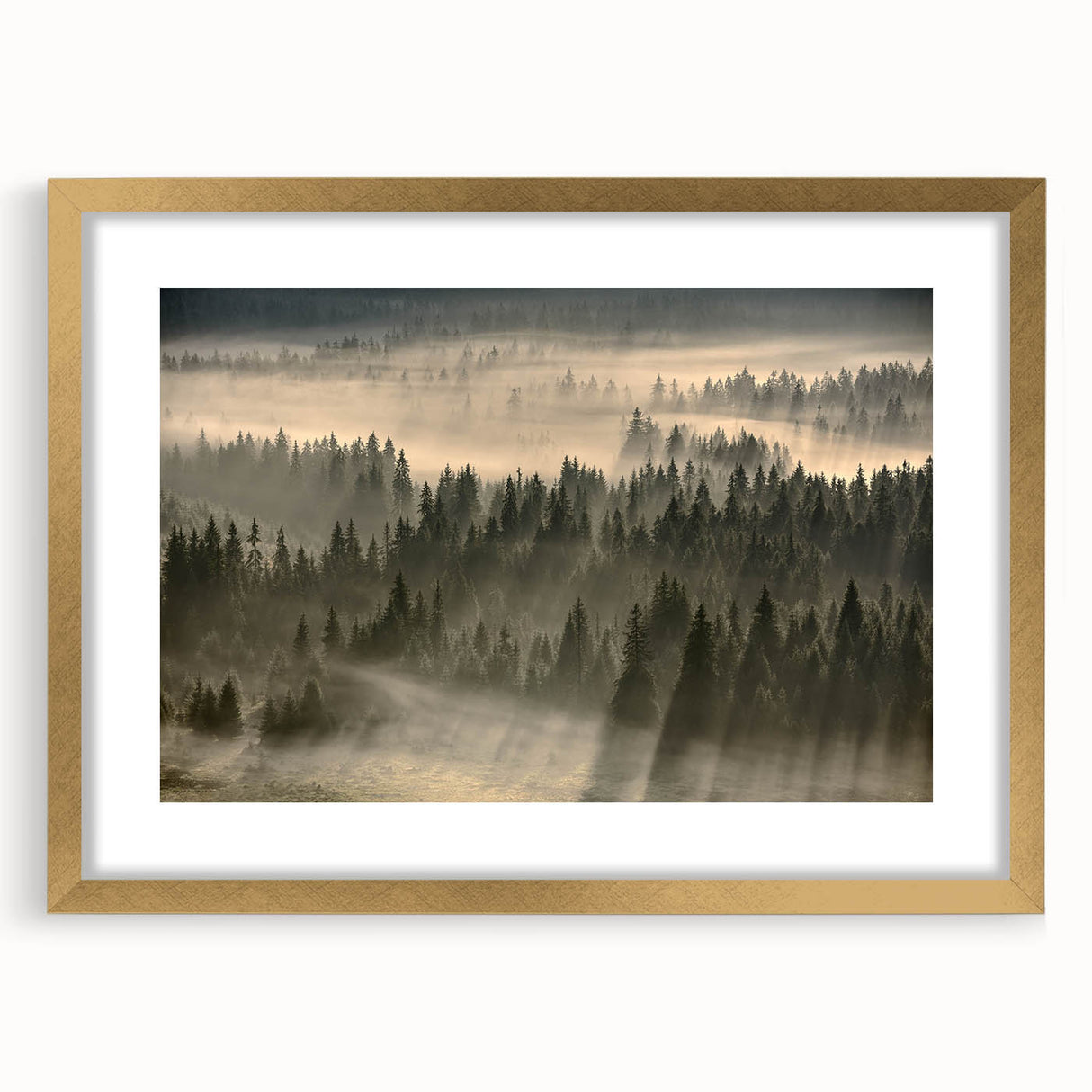 Framed wall art of a misty landscape featuring soft fog tones, highlighted by a gold border, perfect for enhancing home decor with a serene, elegant touch.