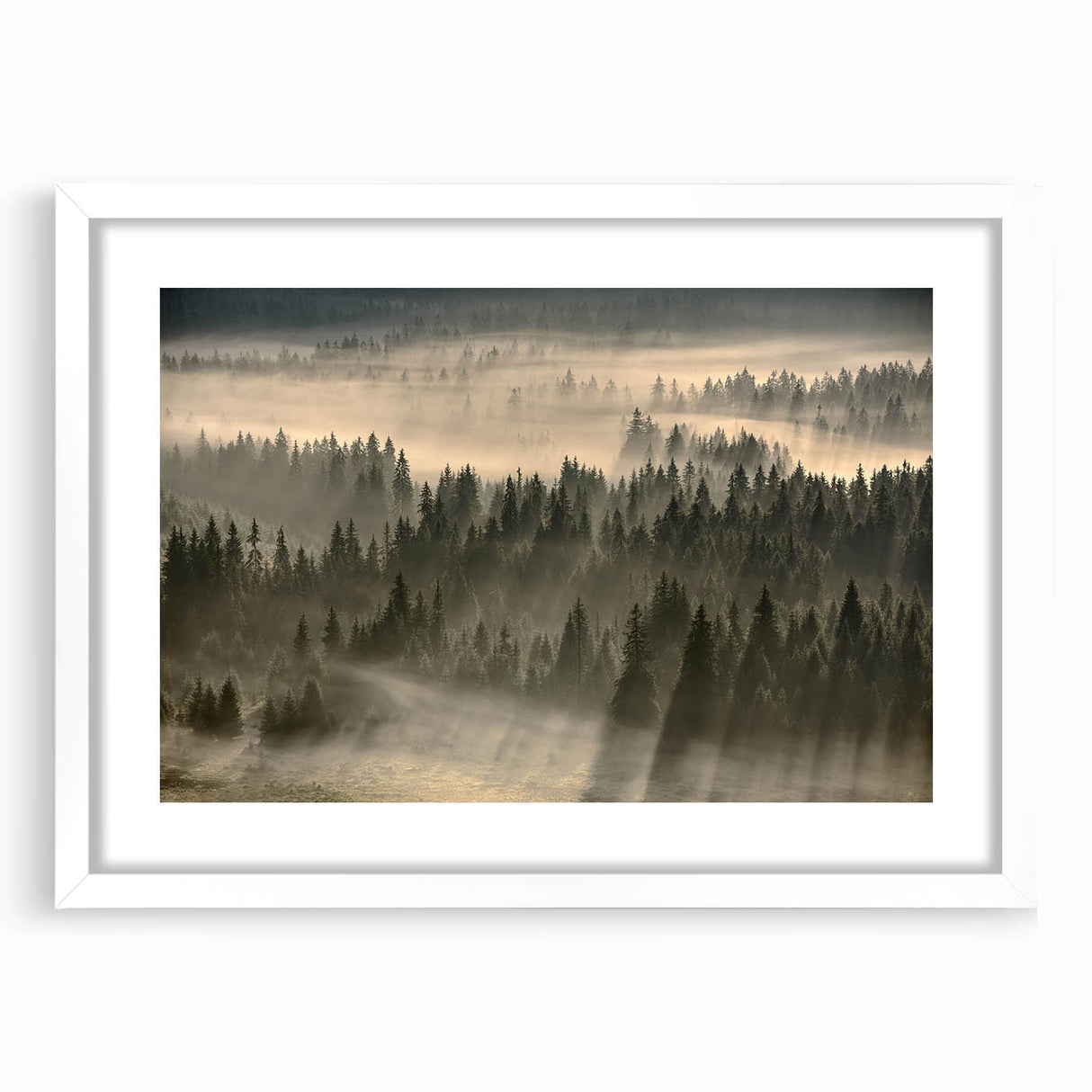Framed wall art featuring a serene misty landscape design, with soft gray and white tones, set in a sleek white frame, ideal for modern home decor.