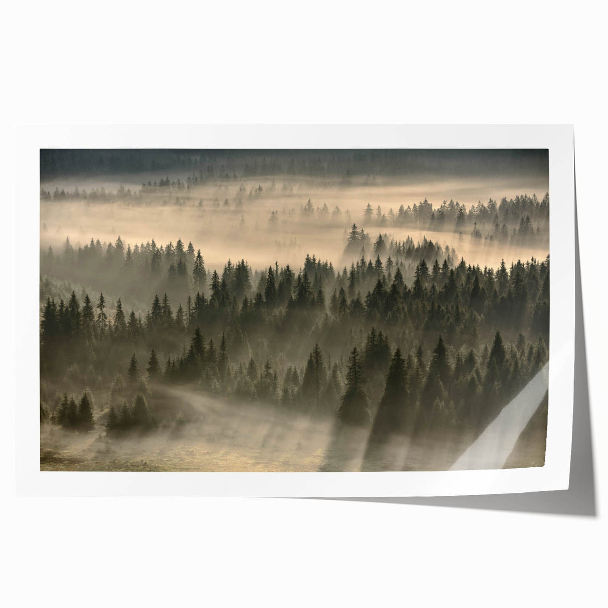 Rolled print of a serene landscape with misty fog, featuring soft pastel colors and abstract design, ideal for home decor and wall art collections.