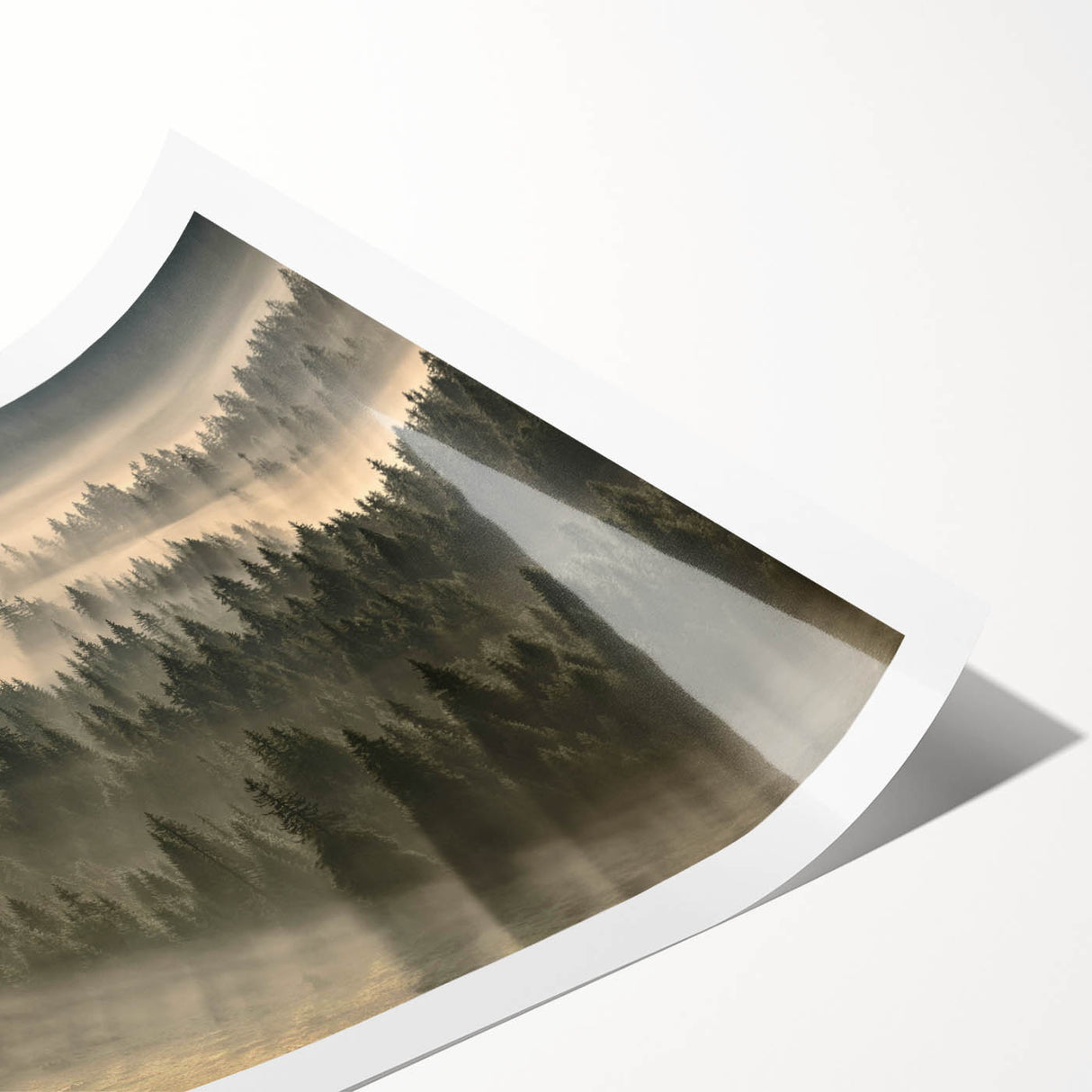 Rolled print of a misty landscape design showcasing soft fog and serene colors, ideal for home decor, emphasizing tranquility and nature-inspired aesthetics.