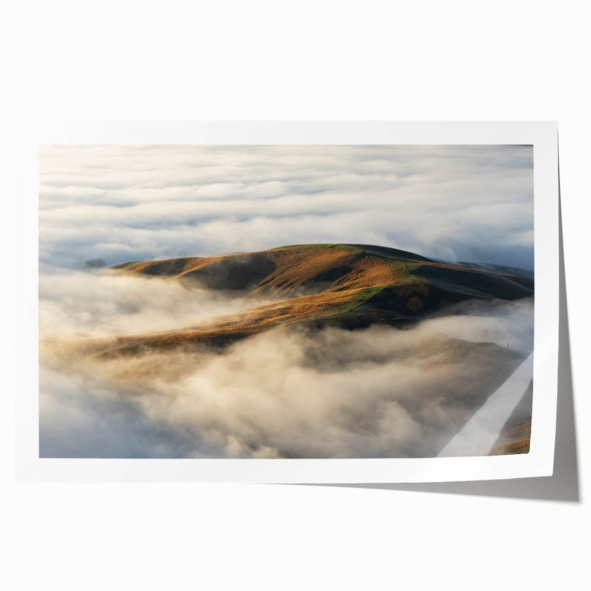 Serene landscape wall art print showcasing a misty forest scene with soft fog enveloping tall trees, perfect for adding tranquility to any space.