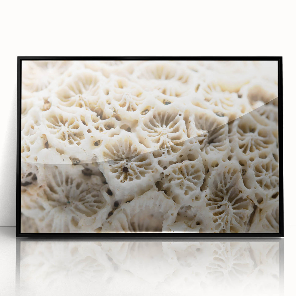 Framed wall art featuring a vibrant marine life coral design in bold colors, set in a sleek black frame, perfect for ocean-themed decor.