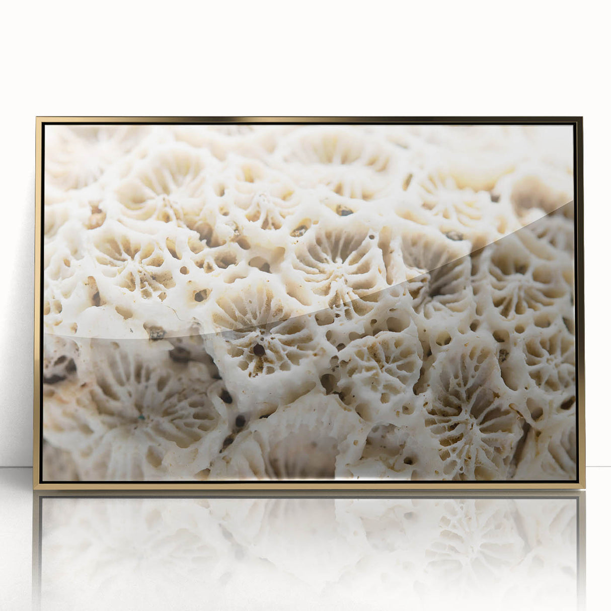 Framed wall art showcasing a vibrant coral reef design in an acrylic finish with a gold frame, perfect for marine life enthusiasts and coastal decor.
