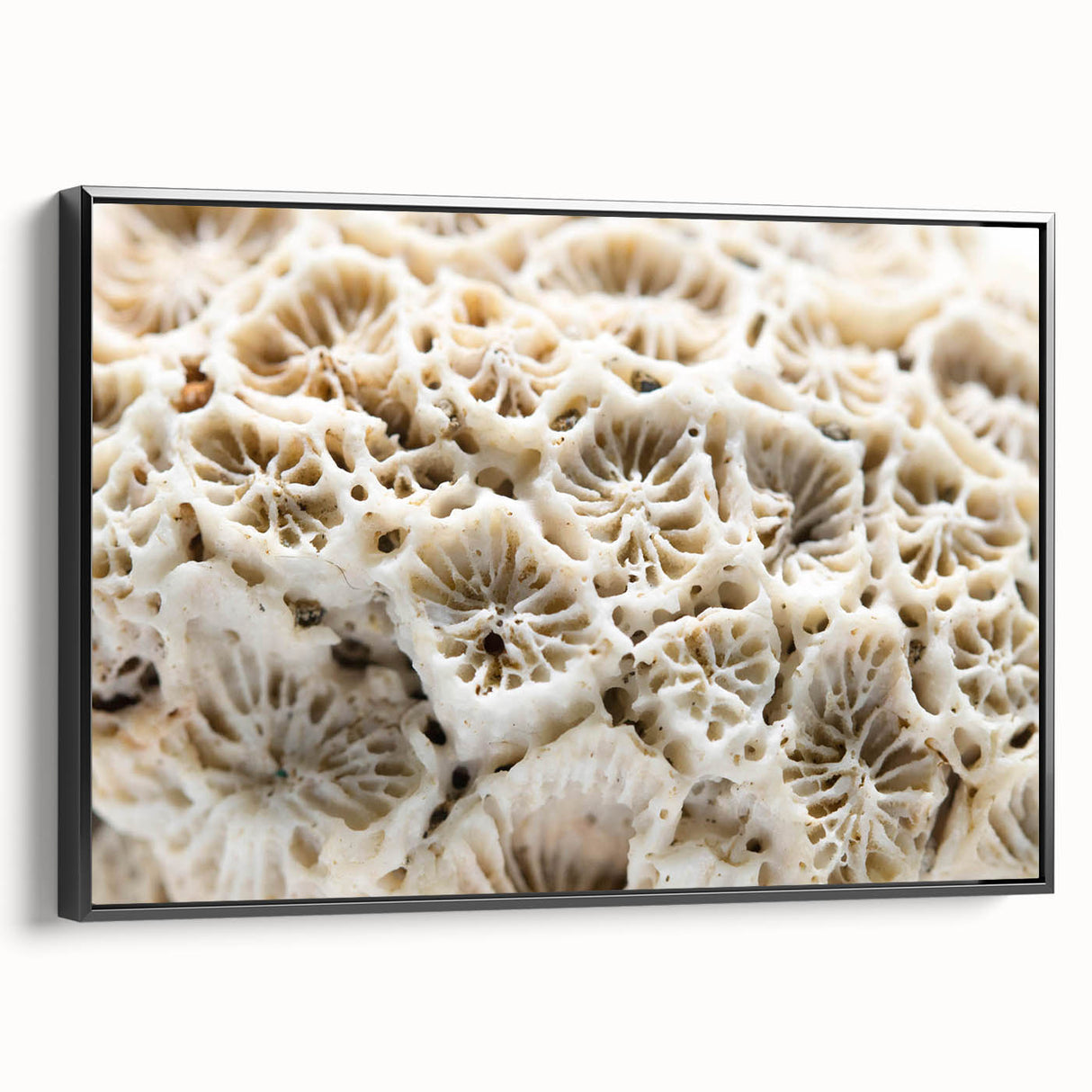 Framed wall art featuring a vibrant marine life and coral design on canvas with a sleek black frame, showcasing intricate details and vivid colors, ideal for ocean-themed decor.