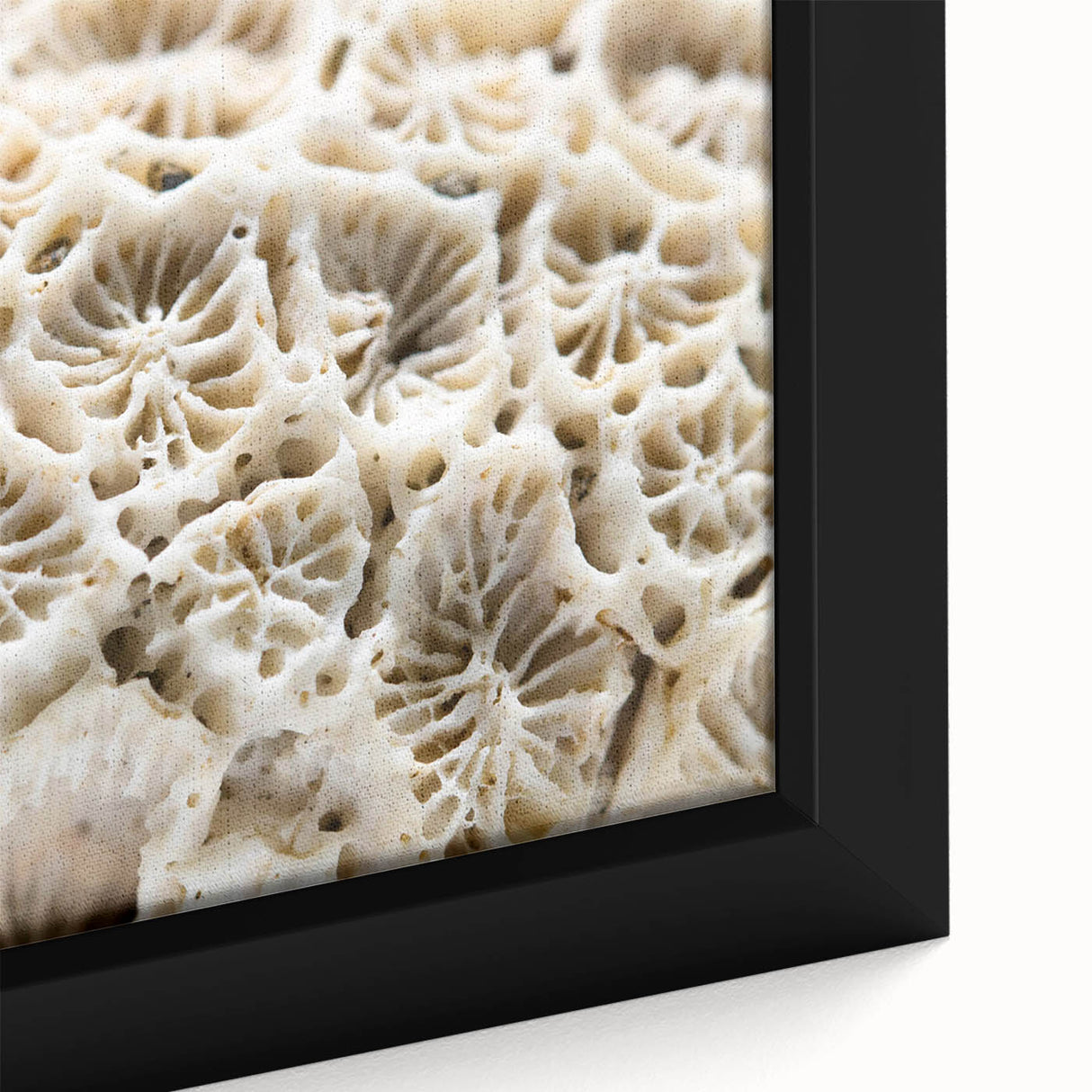 Close-up of a vibrant coral reef wall art piece, showcasing intricate marine life details in rich colors, framed elegantly for modern decor. Perfect for ocean lovers and enhancing interior spaces.