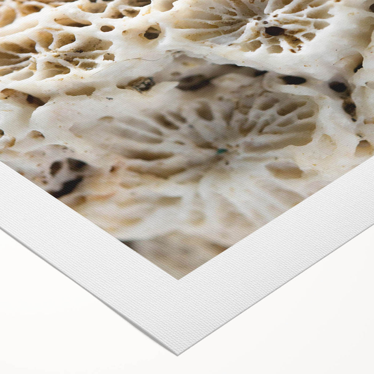 Vibrant rolled canvas art depicting a marine life coral design, showcasing intricate details in blues and greens, perfect for ocean-themed decor.