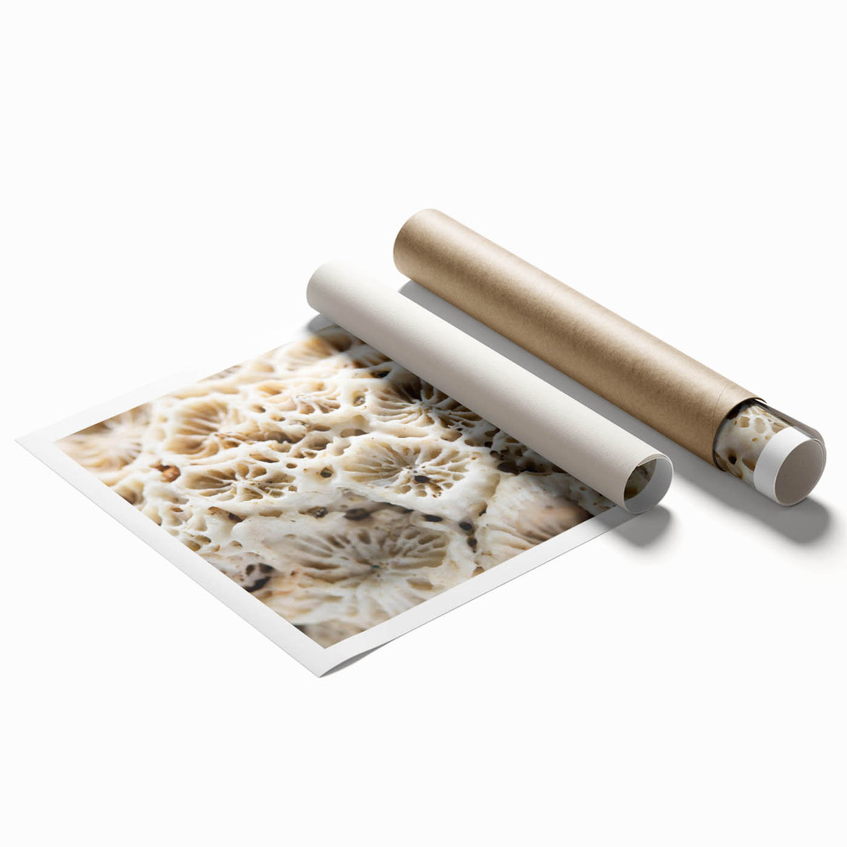 Vibrant rolled print showcasing a colorful marine life coral design, featuring intricate details of underwater flora and fauna, ideal for ocean-themed decor.