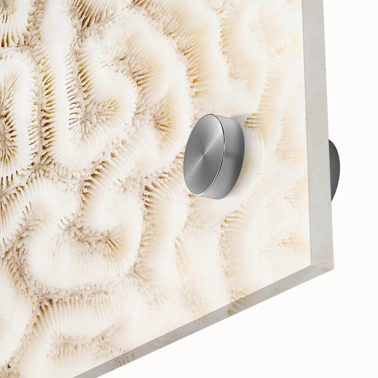 Close-up of vibrant marine life coral design wall art, showcasing intricate details in shades of blue and orange, ideal for ocean-themed decor.