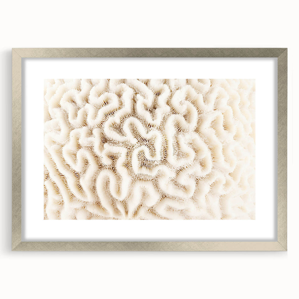 Framed wall art showcasing vibrant marine life and intricate coral design in silver frame, perfect for ocean-themed decor. Ideal for enhancing living spaces.