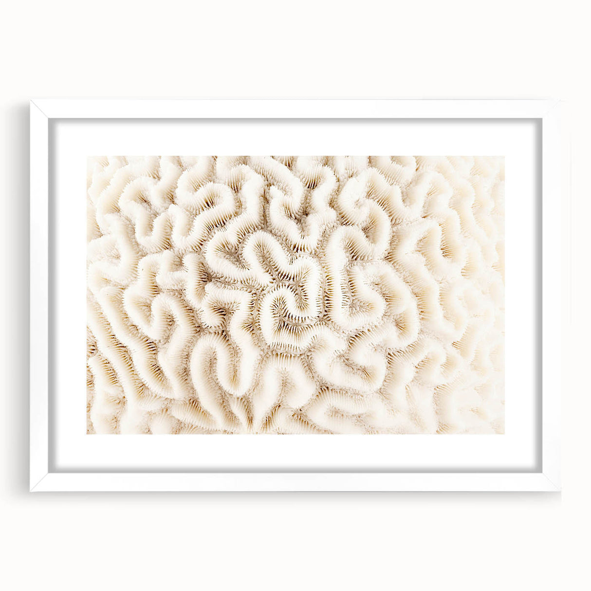 Framed wall art featuring a vibrant coral reef design with intricate marine life details, set against a clean white mat, perfect for ocean-themed decor.