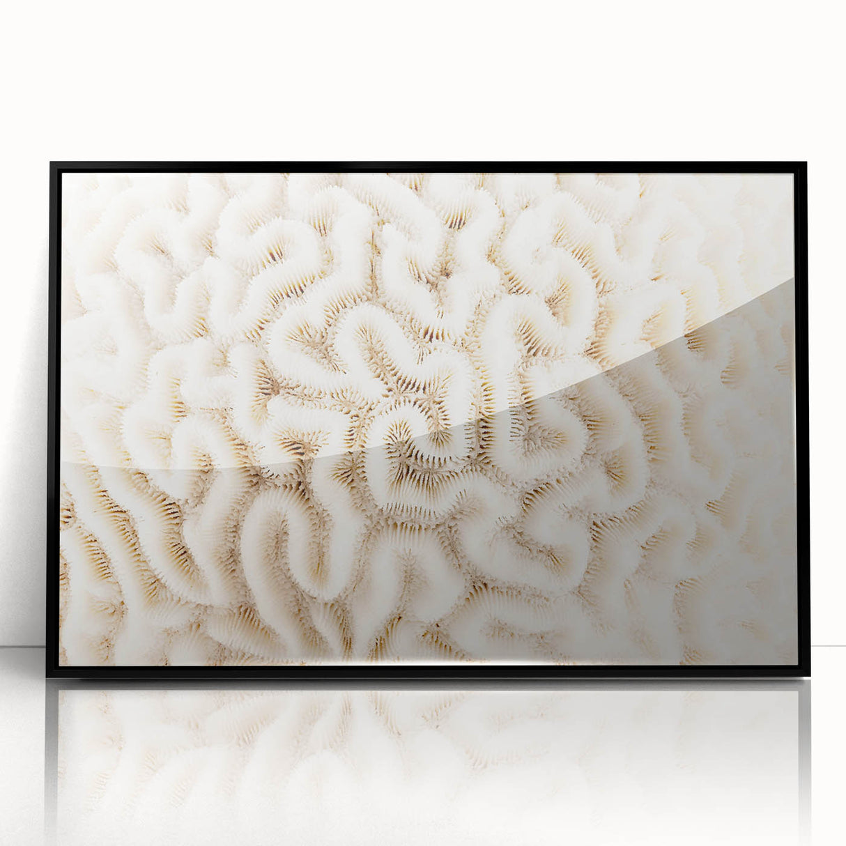 Framed wall art showcasing a vibrant marine life coral design, featuring intricate details and colorful corals against a sleek black frame, perfect for ocean-themed decor.