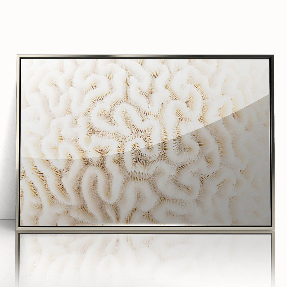 Framed acrylic wall art showcasing a vibrant marine life coral design in silver, perfect for enhancing coastal-themed decor in homes or offices.