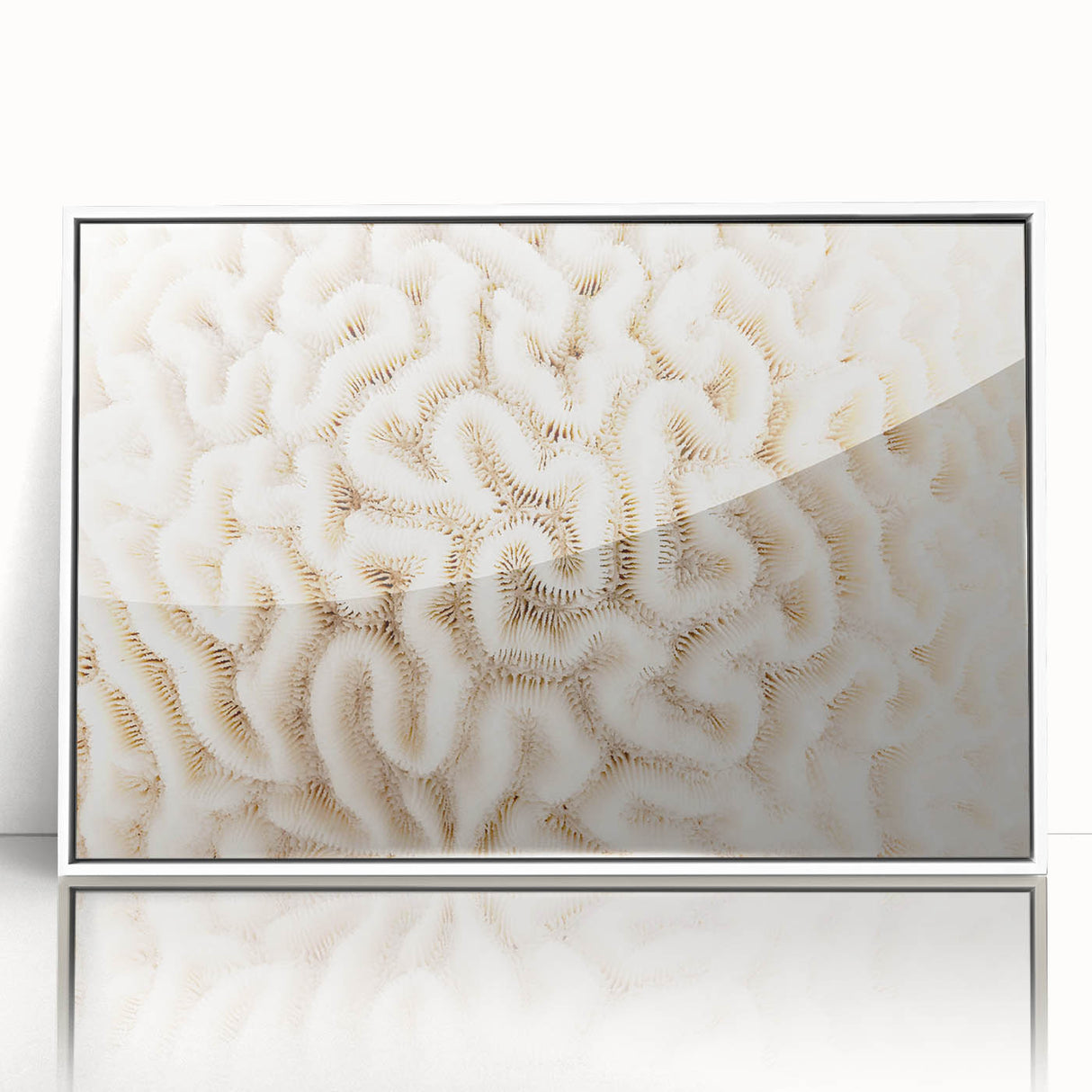 Framed wall art featuring a vibrant coral reef design in acrylic, showcasing intricate marine life details and a crisp white frame, perfect for ocean-themed decor.