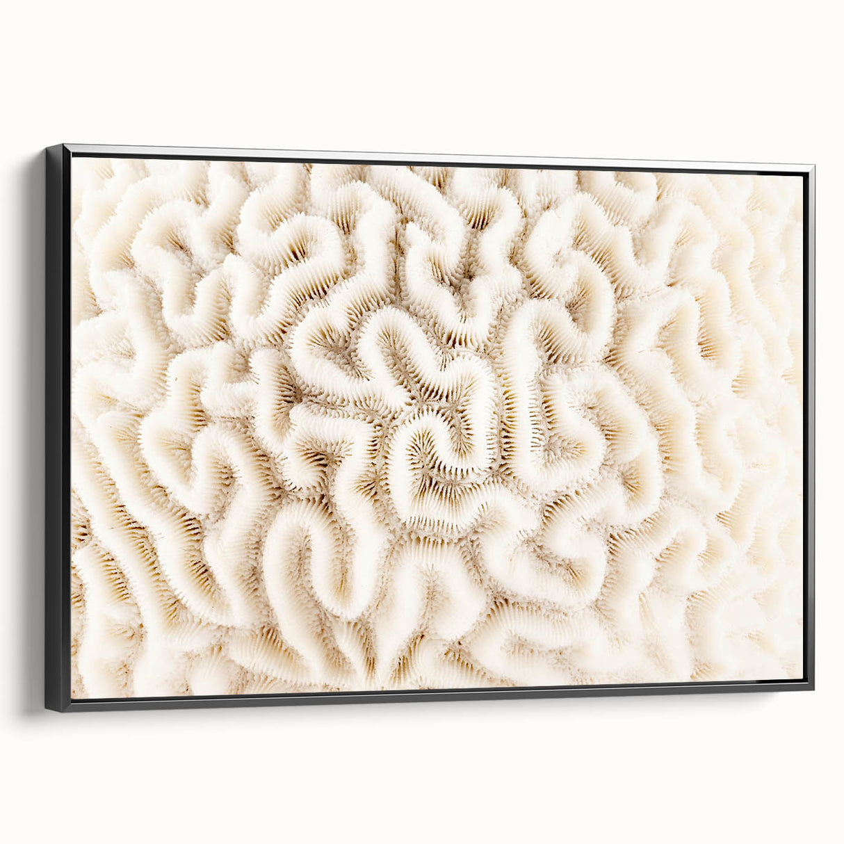 Framed canvas wall art featuring a vibrant coral reef design in shades of blue and orange, set against a sleek black frame. Perfect for marine life enthusiasts.