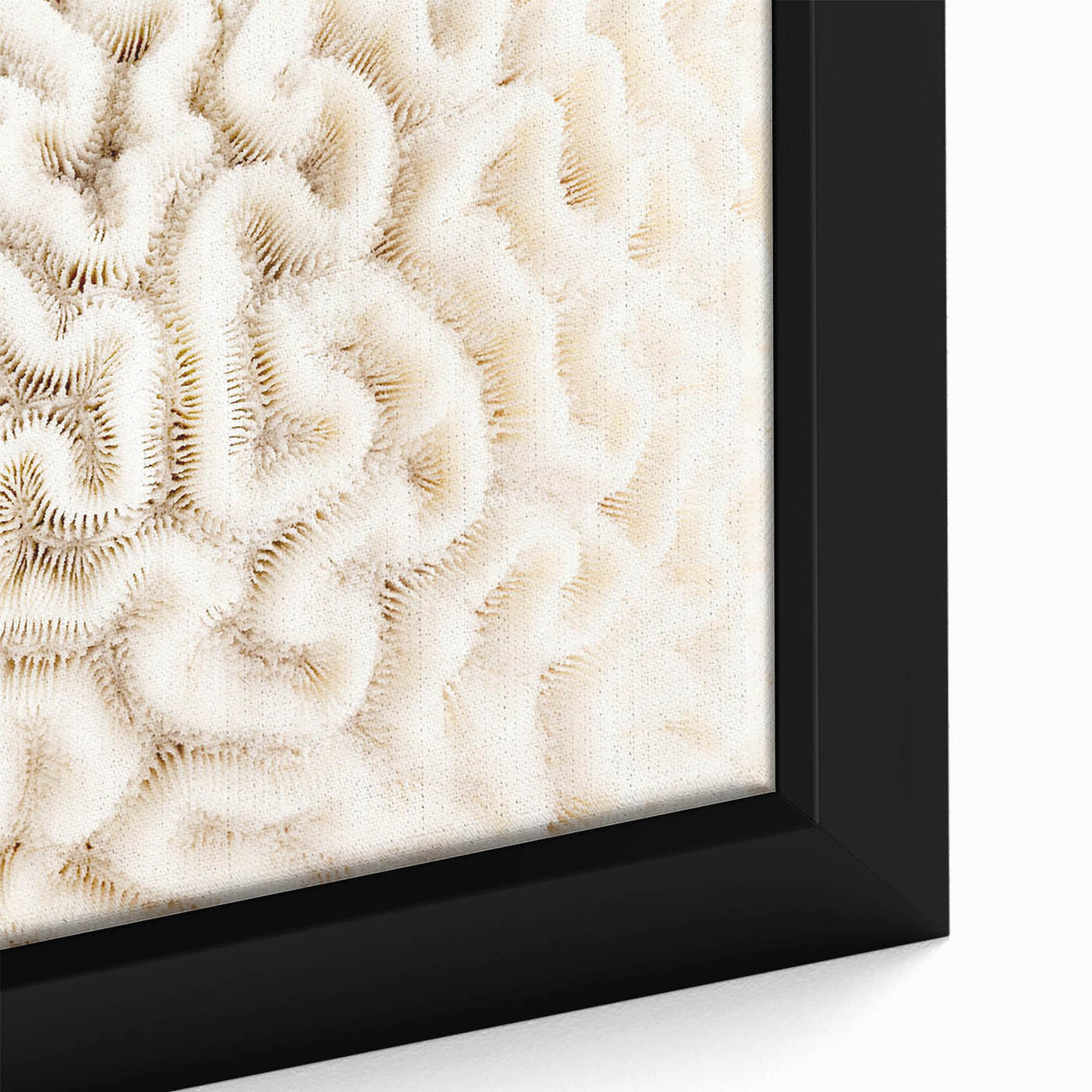 Close-up of a vibrant framed canvas wall art depicting intricate coral reef marine life design, showcasing bright colors and detailed textures, perfect for ocean-themed decor.