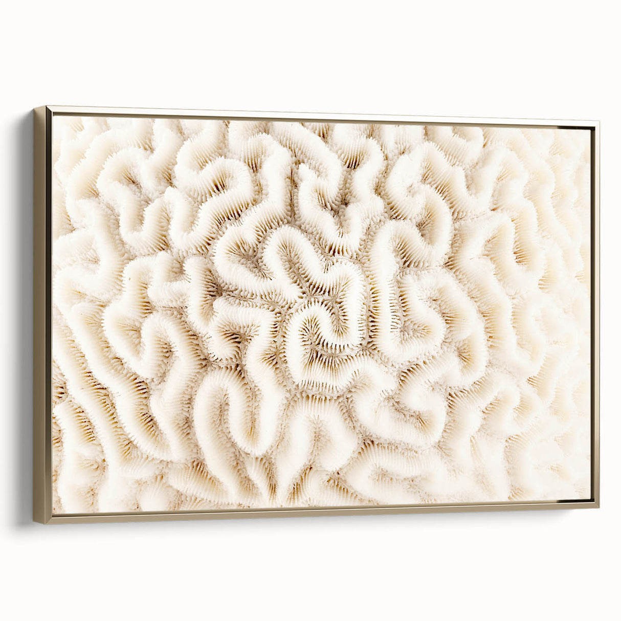 Framed wall art showcasing a vibrant marine life and coral design, featuring a gold frame, ideal for ocean-themed decor in living spaces or offices.