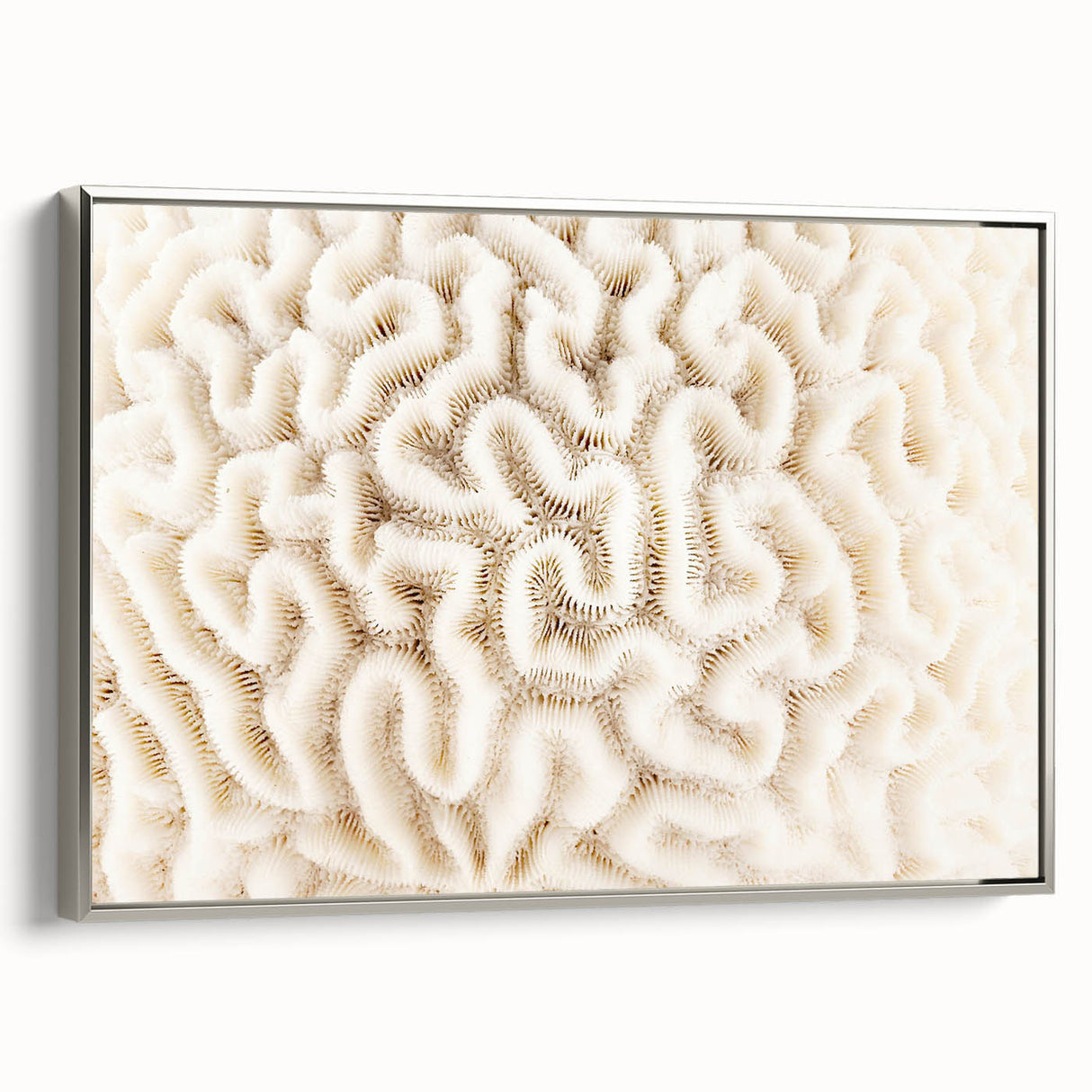 Framed canvas wall art featuring a vibrant marine life coral design, showcasing intricate details and textures, with a sleek silver frame enhancing its elegance. Ideal for ocean-themed decor, this artwork adds a touch of nature's beauty to any space.