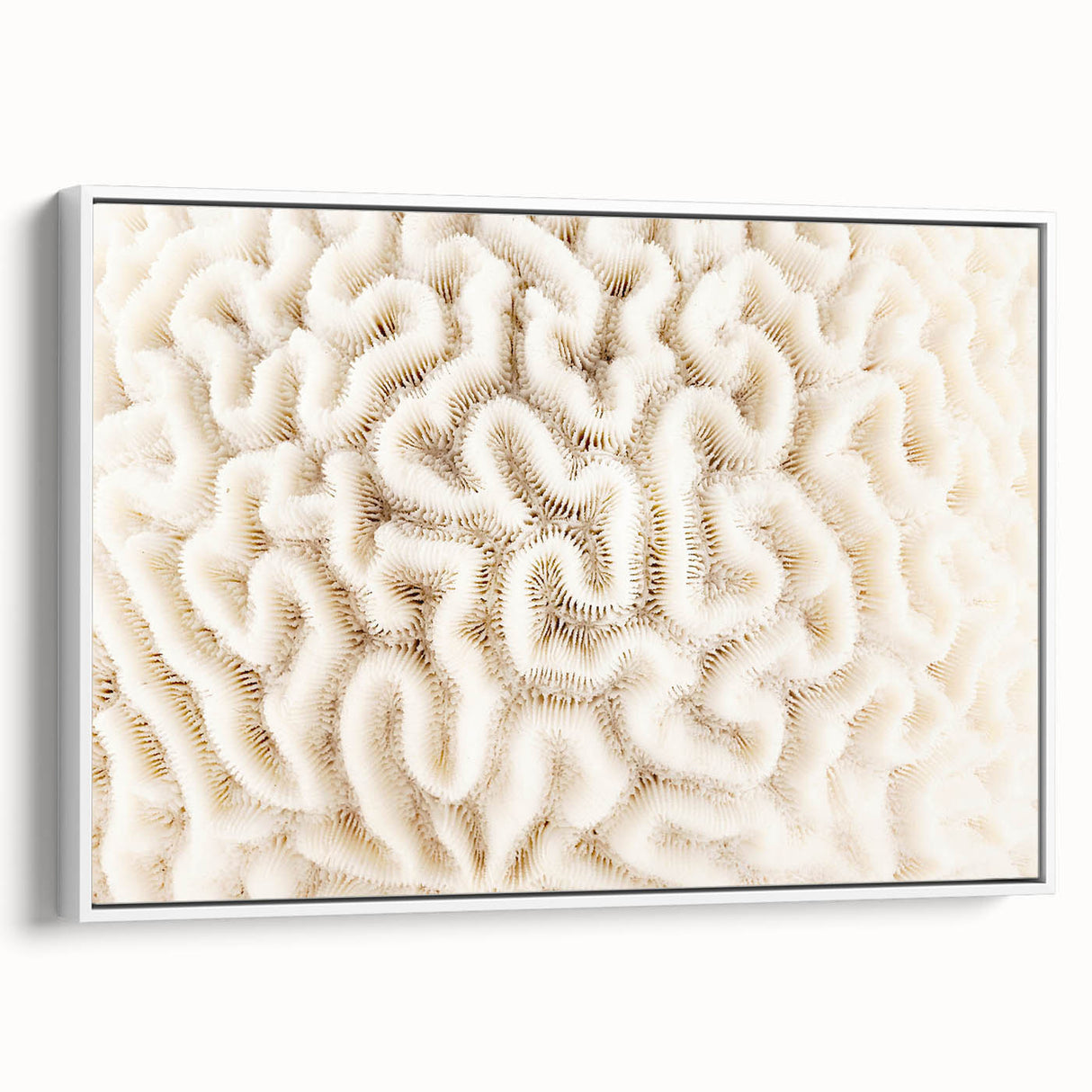 Framed canvas wall art showcasing a vibrant coral reef design with rich blues and reds, perfect for marine life enthusiasts, displayed in a sleek white frame.