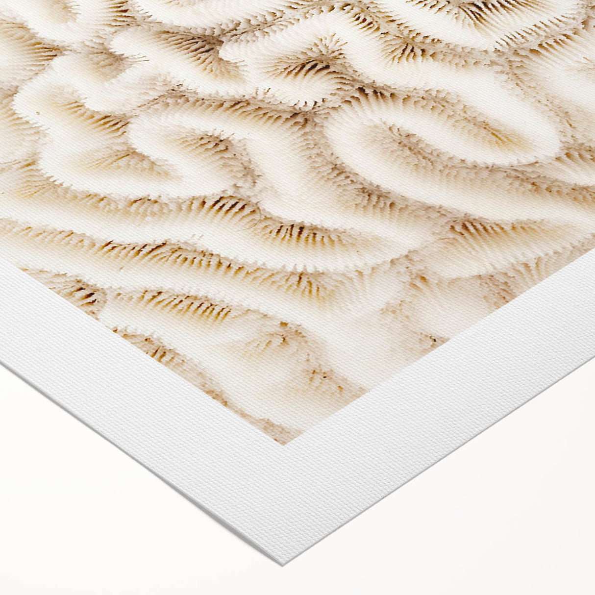 Vibrant rolled canvas showcasing a marine life coral design, featuring colorful corals and sea creatures, perfect for ocean-themed decor and coastal aesthetics.