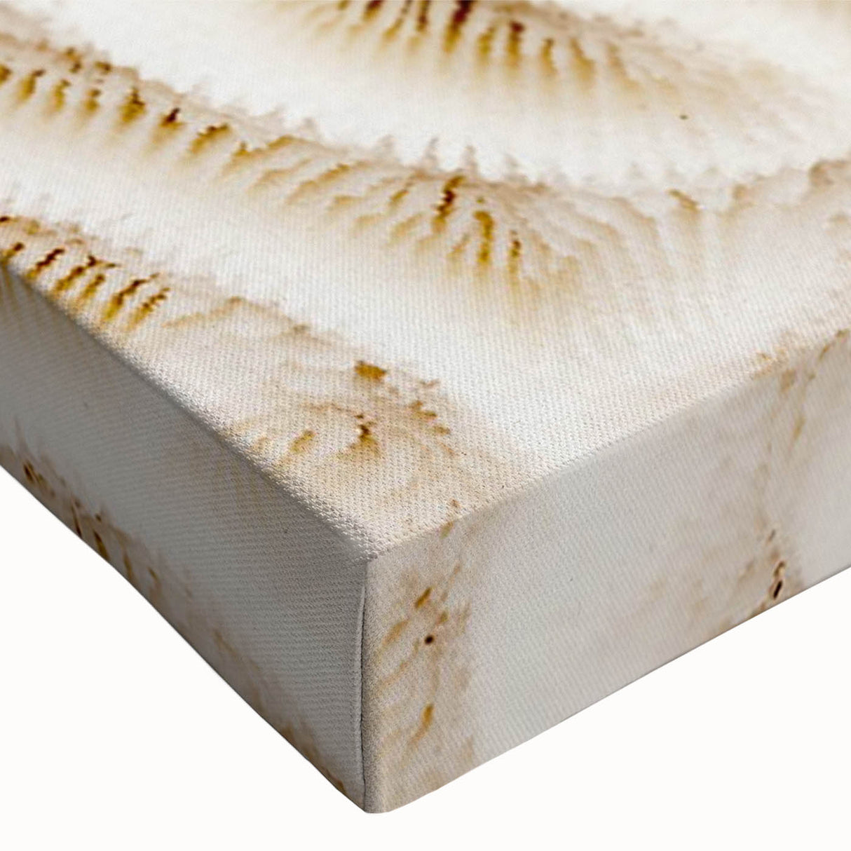 Vibrant close-up of a stretched canvas wall art featuring a colorful marine life coral design, showcasing intricate textures and details ideal for ocean-themed decor.